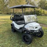 NEW ONWARD GOLF CART