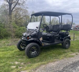 2025 EZGO LIBERTY GOLF CART BLACK