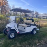 2007 EZ-GO TXT BEIGE GOLF CART
